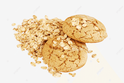 Pupums Human-Grade Vegan Crispy Oatmeal Chip Dog Treats