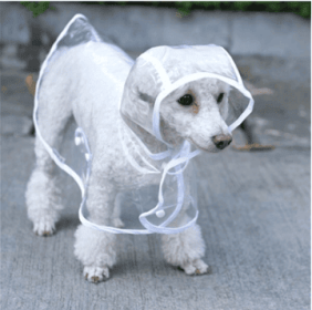 Transparent Waterproof Dog Raincoat - Stylish Protection For Your Pup (Color: White, size: M)