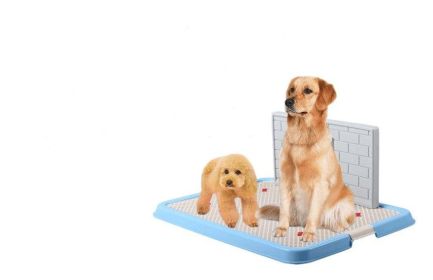 Dog Toilet Puppy Dog Supplies Teddy Dog Urinal Potty Golden Hair Puppies (Color-Style: Blue-Jxcw22Female, size: large)