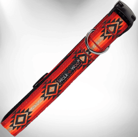 Walk-e-Woo Southwestern Style Dog Collar (Color: Sky Fire, Size-Pack Of: L 1" Width Fits 14-25" Neck-1)